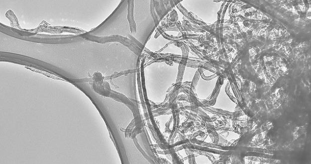 Nanorurki - obraz spod mikroskopu świetlnego.   Fot. NASA /materiały prasowe