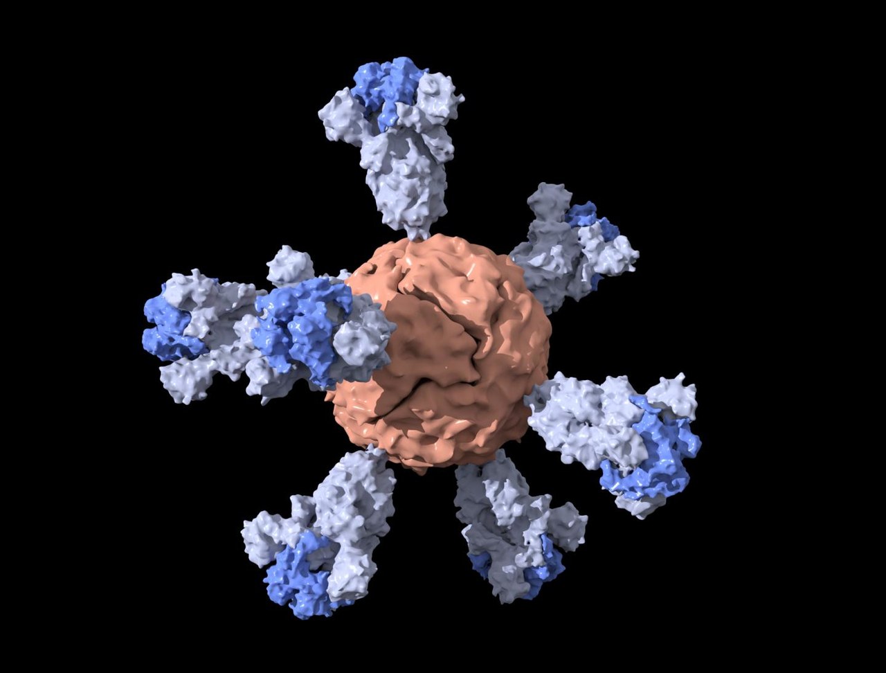 Nanoszczepionką w koronawirusa
