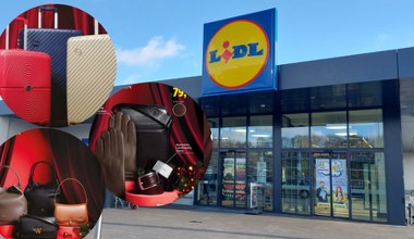 Nareszcie! Od jutra w Lidlu – i to w zaskakująco niskiej cenie!