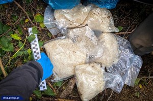 Narkotyki były warte milion złotych. Mężczyzna ukrył je w leśnych skrytkach
