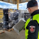Narkotyki ukryte między butelkami wina. Udaremniony przemyt na polskiej granicy