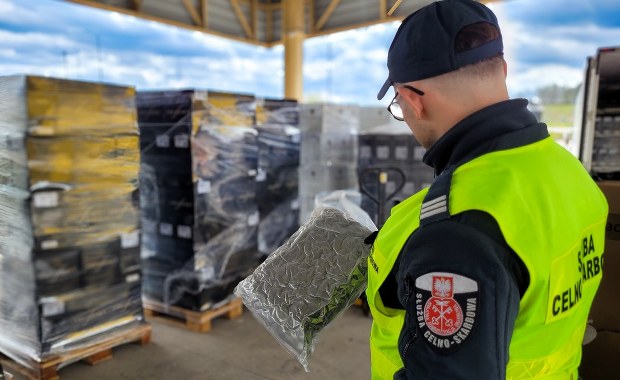 Narkotyki ukryte między butelkami wina. Udaremniony przemyt na polskiej granicy