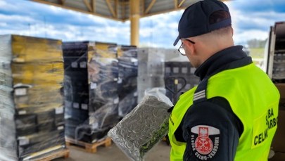 Narkotyki ukryte między butelkami wina. Udaremniony przemyt na polskiej granicy