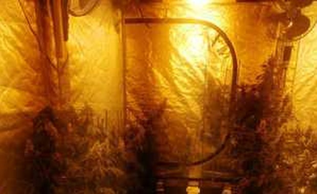 ​Narkotyki w salonie tatuażu. Policjanci zatrzymali cztery osoby