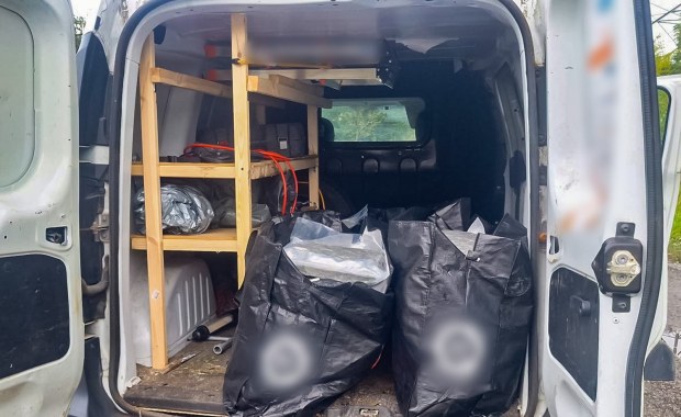 Narkotyki warte fortunę: 57-latek wpadł z ogromną ilością konopi