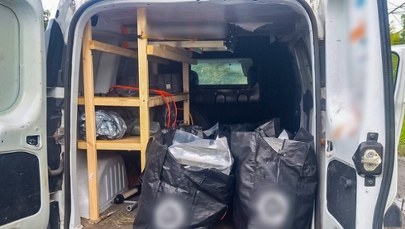 Narkotyki warte fortunę: 57-latek wpadł z ogromną ilością konopi