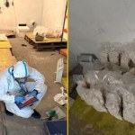 Narkotyki warte miliony. Policja przeprowadziła spektakularną akcję