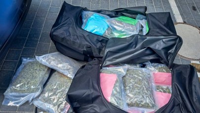 Narkotyki warte ok. 16 mln zł w jednym z warszawskich mieszkań