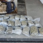 Narkotykowy diler zatrzymany. Policjanci przejęli 60 kg środków odurzających  