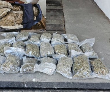 Narkotykowy diler zatrzymany. Policjanci przejęli 60 kg środków odurzających  