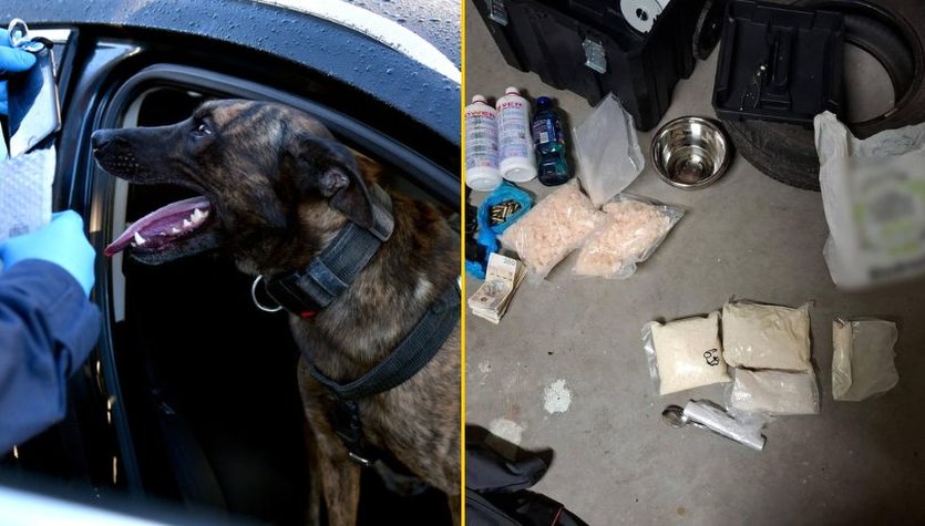 Narkotykowy gang z Podlasia rozbity. Spektakularna akcja policji 