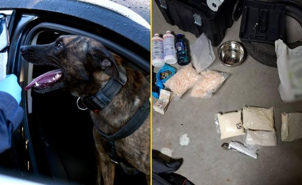 Narkotykowy gang z Podlasia rozbity. Spektakularna akcja policji 