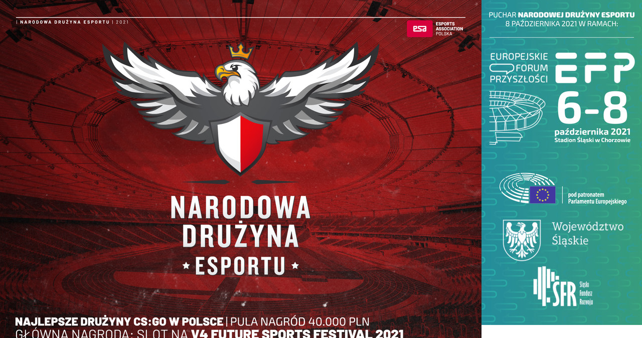 Narodowa Drużyna Esportu /materiały prasowe