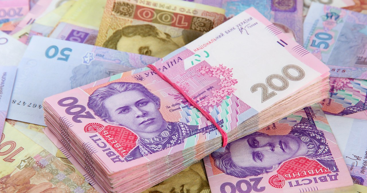 Narodowy Bank Ukrainy zdewaluował hrywnę /123RF/PICSEL