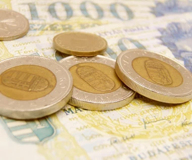 ​Narodowy Bank Węgier podniósł kolejny raz główną stopę procentową 