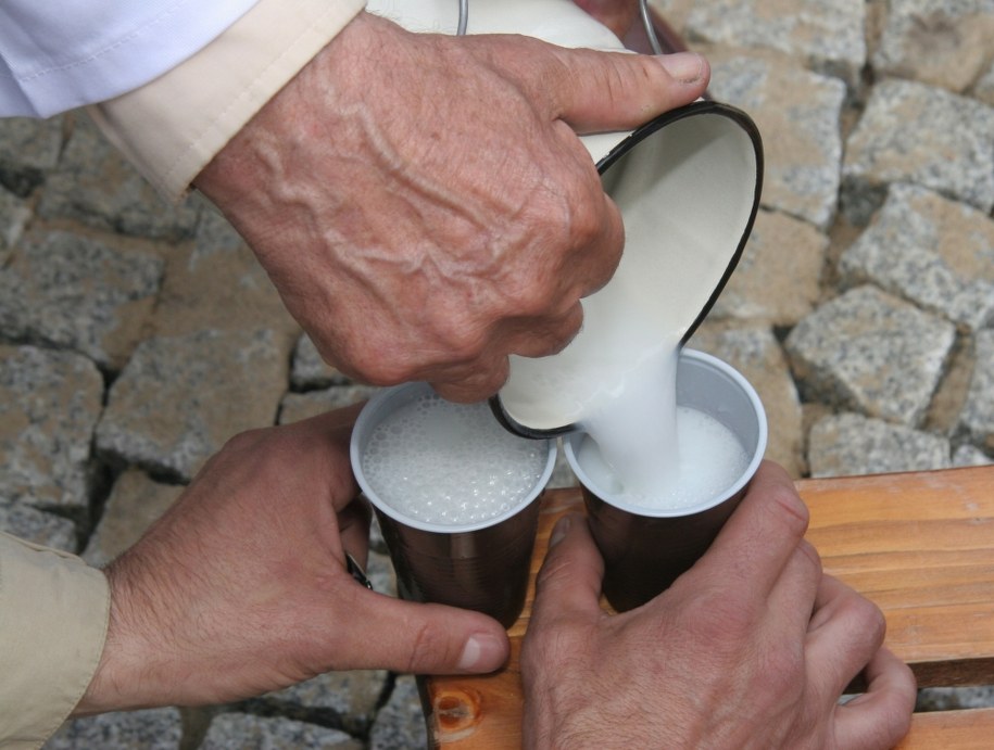 Narody, które piją dużo mleka, mają w przeliczeniu na liczbę mieszkańców większą liczbę laureatów nagród Nobla /Mirosław Trembecki  /PAP