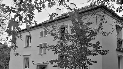 ​Narodziny Nowej Huty - dziecka Lenina i Wandy