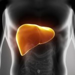 Narząd latami i po chichu obrasta tłuszczem. Na leczenie może być za późno