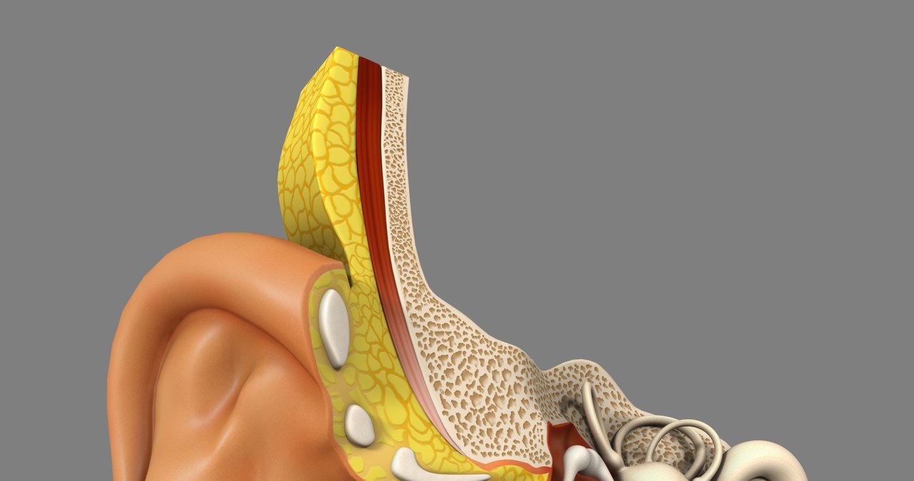 Narząd słuchu jest bardzo delikatny. Należy zadbać o niego już na wczesnych etapach życia /123RF/PICSEL