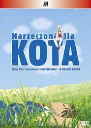 Narzeczona dla kota