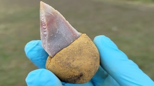 Narzędzia sprzed 40 tysięcy lat odkrywają tajną broń neandertalczyków
