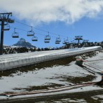 Sieć dyskontów Dino Polska.