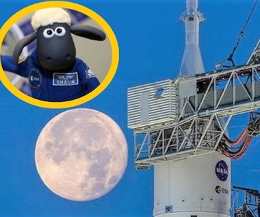 NASA ma poczucie humoru. W kosmos poleci maskotka, stara śruba i klocki Lego