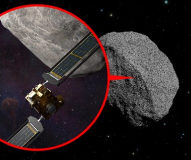 NASA próbuje trafić sondą DART w asteroidę. Czy uda się zmienić jej orbitę?