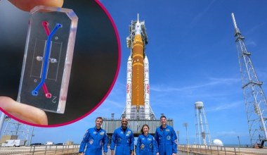 NASA przeprowadzi pionierskie eksperymenty biomedyczne z załogą Artemis 2