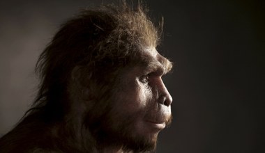 Nasi przodkowie byli kanibalami? Naukowcy mają dowody