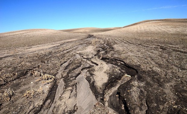 Nasi przodkowie istotnie wpływali na środowisko już 4000 lat temu