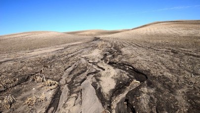 Nasi przodkowie istotnie wpływali na środowisko już 4000 lat temu