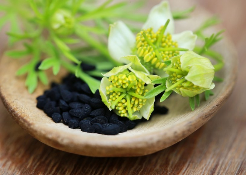 Nasiona czarnuszki dostarczają wielu niezbędnych organizmowi witamin i składników mineralnych /123RF/PICSEL