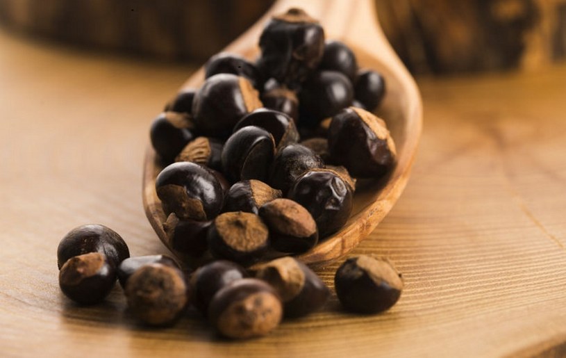 Nasiona guarany mają znacznie więcej kofeiny niż kawa. Dodatkowo wspomagają pracę jelit /123RF/PICSEL