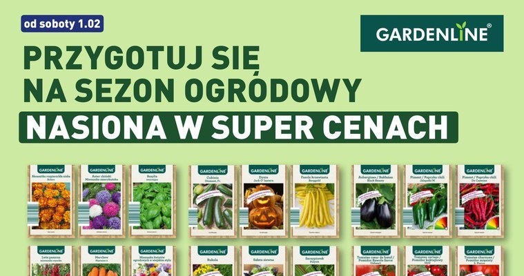 Nasiona w niskich cenach w Aldi! /Aldi.pl /INTERIA.PL