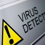 NASK przejmuje niebezpieczne domeny botnetu Virut