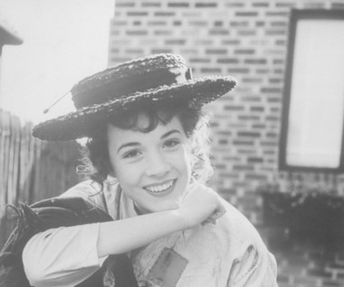 Następnie zagrała w wielu broadwayowskich musicalach, m.in. w "My Fair Lady" jako Eliza Doolittle (1956-1962), w "Camelot" jako Guenevere (1960-1963) i w "Victor/Victoria" jako Victoria Grant (1995-1997).