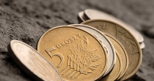 Następuje ucieczka od ryzyka, co przejawia się w wyprzedawaniu walut naszego regionu /&copy; Panthermedia