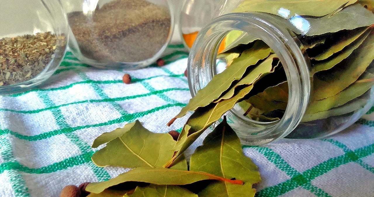 Настій з лаврового листа допомагає при жировій хворобі печінки, болях у суглобах та інфекціях /pixabay.com