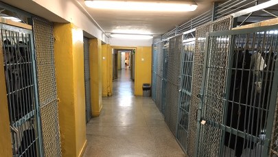 Nastolatek zaatakował nożem na terenie szkoły, zabił nauczycielkę i ucznia. Trwa obława