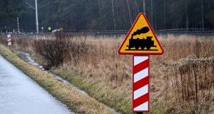 Nastolatki przebiegały przez tory, potrącił je szynobus. Tragedia niedaleko Goleniowa