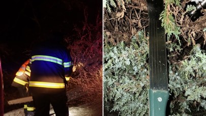 Nastolatkowie grozili maczetą i brutalnie zaatakowali rówieśników