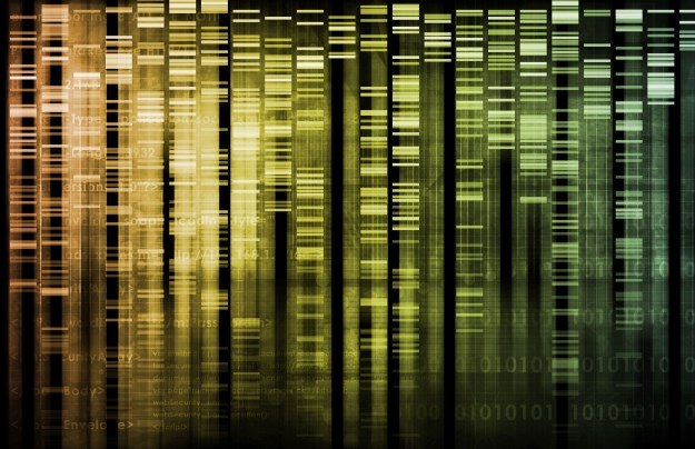 Nasz genom skrywa jeszcze wiele tajemnic - większość już opatentowano /123RF/PICSEL