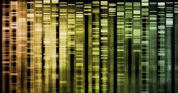 Nasz genom skrywa jeszcze wiele tajemnic - większość już opatentowano /123RF/PICSEL