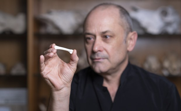 Nasz kolejny krewny: Nowy stary człowiek z Filipin