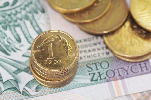 Nasz kraj obawia się umocnienia złotego /&copy;123RF/PICSEL