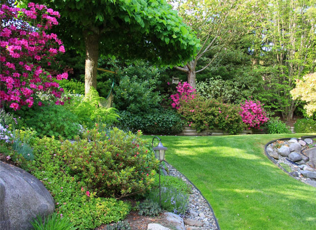 Nasz ogród może stać się mieszkaniem dla zaskrońca /123RF/PICSEL
