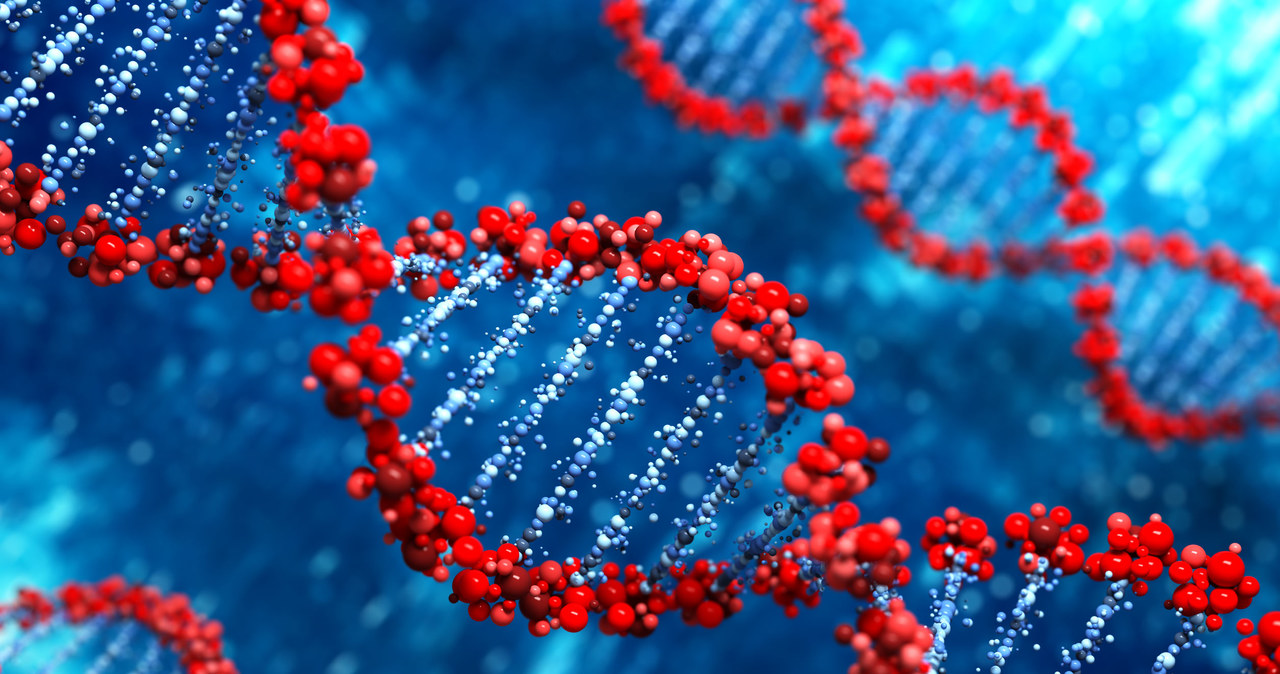 Nasze DNA zawiera 22 000 genów /123RF/PICSEL