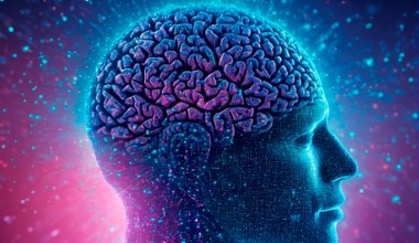 Nasze mózgi jak komputery. Dostajemy wstępnie skonfigurowane