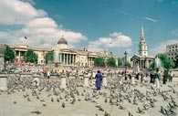 National Gallery na Trafalgar Square, Londyn /Encyklopedia Internautica